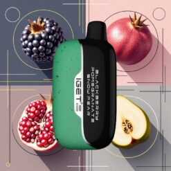 IGET Moon K5000 Puffs 1.35 Ohm Mesh Coil Disposable Vape Blackberry Pomegranate Snow Pear