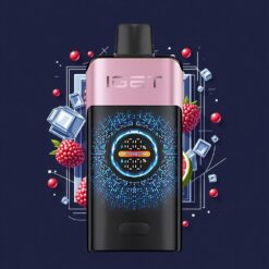 IGET ONE 12000 Puffs Disposable Vape Blackberry Ice with 2700mAh Battery
