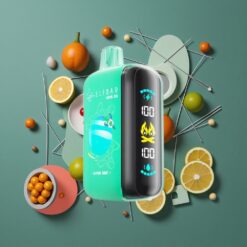 ELF BAR RAYA D3 25000 Puffs Rechargeable Disposable Vape Alpine Mint